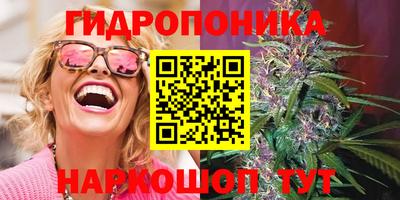 стаф Малгобек